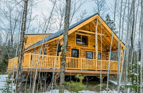 Starks Cabin | Bear Cub Lodge