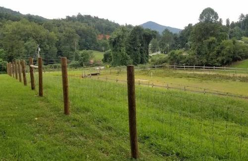 Bryson City Bed & Breakfast | "Buffalo" Guestroom at farmstay glamping bed & breakfast on 11 park-like acres