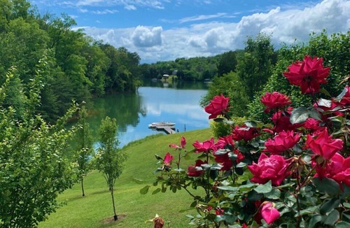 Dandridge Cabin | LakeFront Cabin Private Dock dates in Aug avail nr Smoky Mtn ez access from I-40