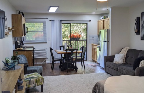 Lake Lure Condo | Mountain Vibes & Morning Brews Studio retreat in Rumbling Bald-HI amenities!