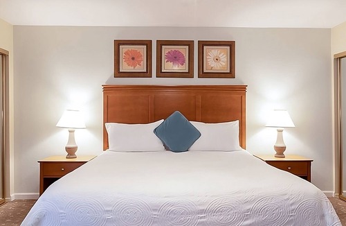 San Diego Country Estates Hotel | Nature Getaway | 4 Units w/Kitchen, Pool & Free Parking | Near Wineries, Hiking