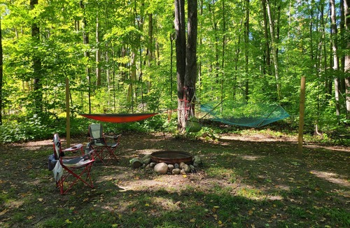 Frederic Cabin | Quiet 2 bedroom cabin in the woods