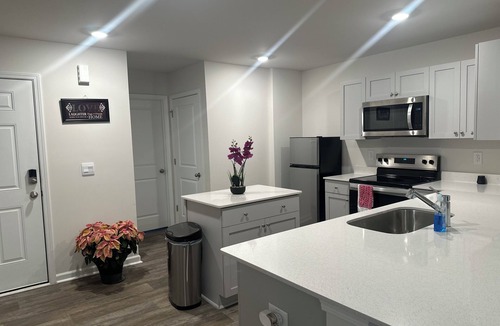 Northeast Raleigh House | Relax with the whole family at this luxurious, brand-new, safe, and serene place