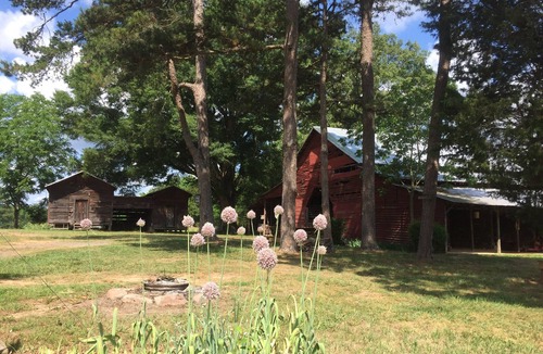 Albemarle House | Water Fasting Retreat. Expertise in Fasting!