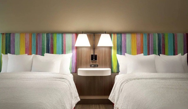 3 Accommodations | Relax & Sleep Wonderfully in Pet-Friendly Rooms