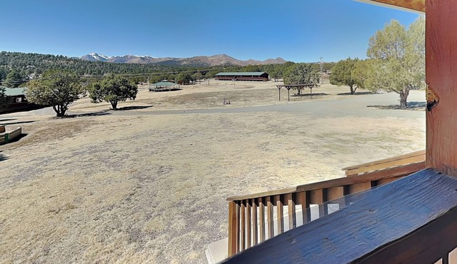Bull Moose Cabinette: Pet Friendly Studio + Mountain Views