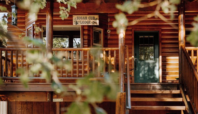 Cozy Cabin Vibes! Great Reviews! Steps to Hiking! Immaculate! Free EV Charging!
