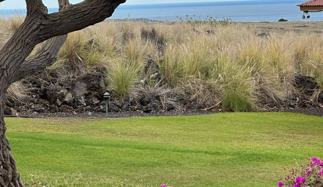 Cozy, clean, and comfortable condominium home in wonderful Kona!