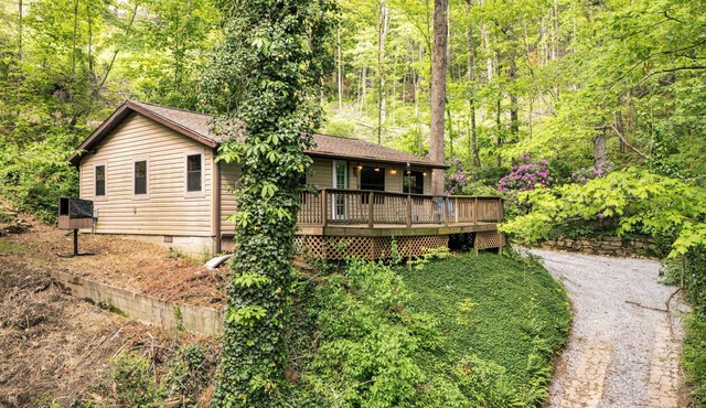 Grumble Grove – A Cozy Treehouse Retreat Near Lake Glenville