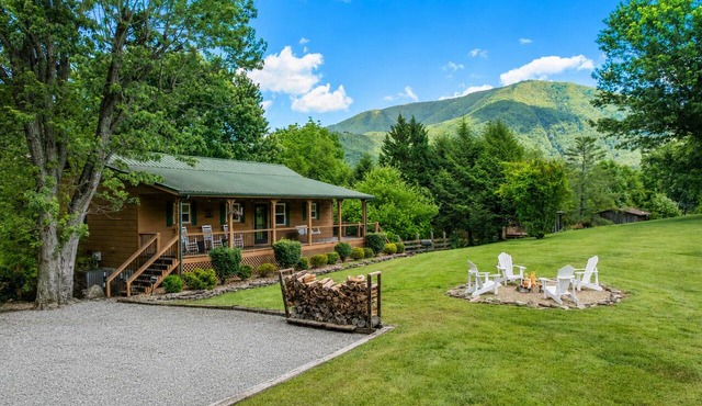 Modern Family Cabin in the Smokies + Mtn Views!