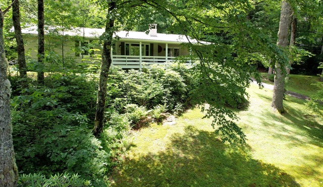Moss Hill Cottage 2BR/2 bath mountain styled with comfort in mind