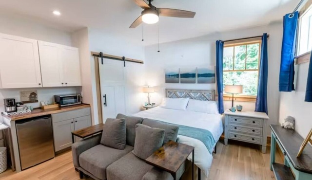 OPEN! Walkable West Asheville Studio Apt with King Bed