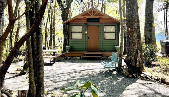 Private Mountain Sanctuary Cabin Surrounded by Protected Forest in Black Mountain, North Carolina