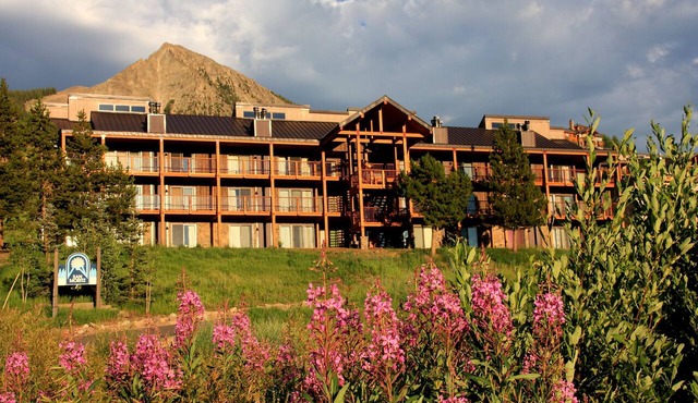 Spacious Mountain Condo Retreat! Ski-In/Out w/Views, Fireplace, Dog Friendly in Mt. Crested Butte