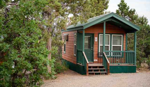 Studio Cabin - The Studio Cabin sleeps a maximum of 4 and features a full bathroom.
