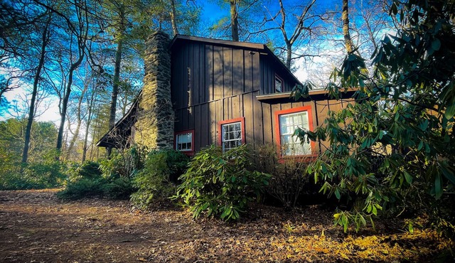 The Cabin!
