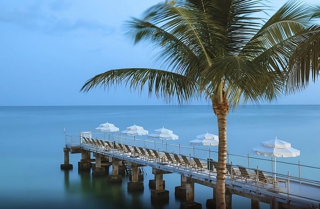 Exciting Tropical Vacation! Nightlife, Beach Access, Walk to Duval Street!