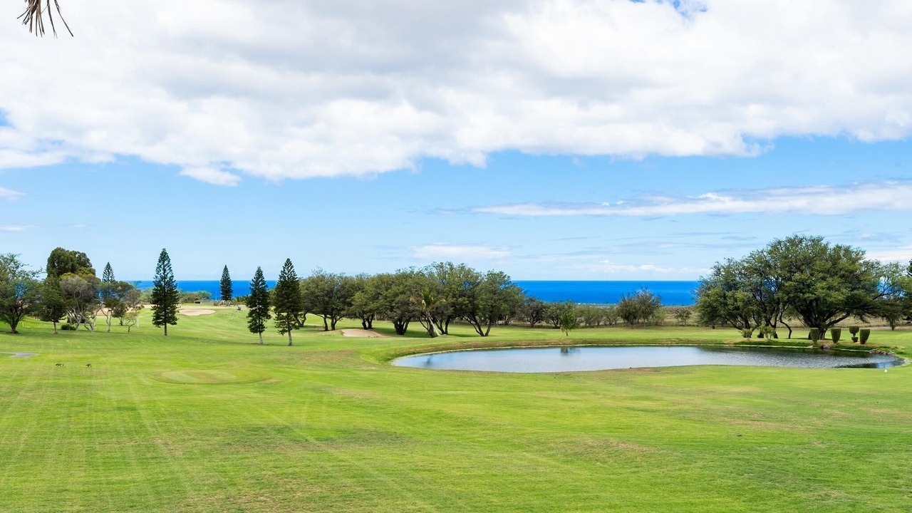 Photo of Others in Waikoloa