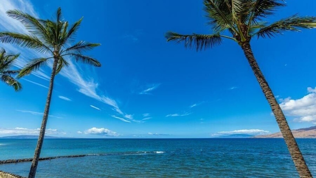 Photo of Others in Kihei