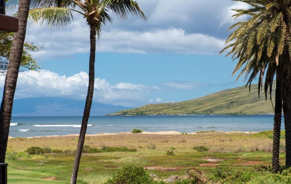 Photo of Others in Kihei