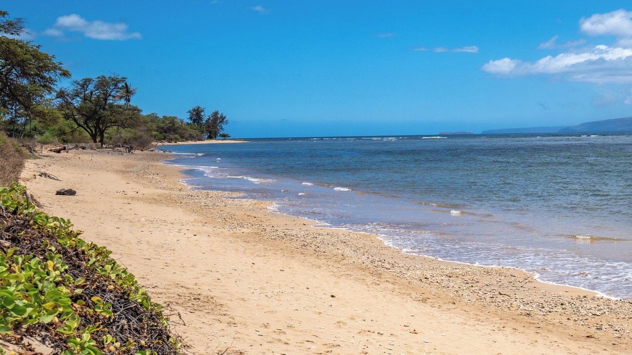 Photo of Others in Kihei