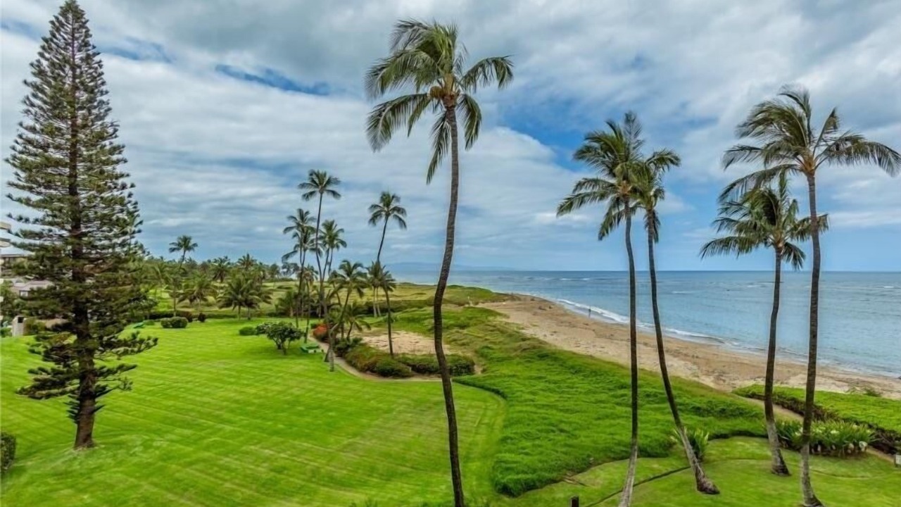 Photo of Others in Kihei