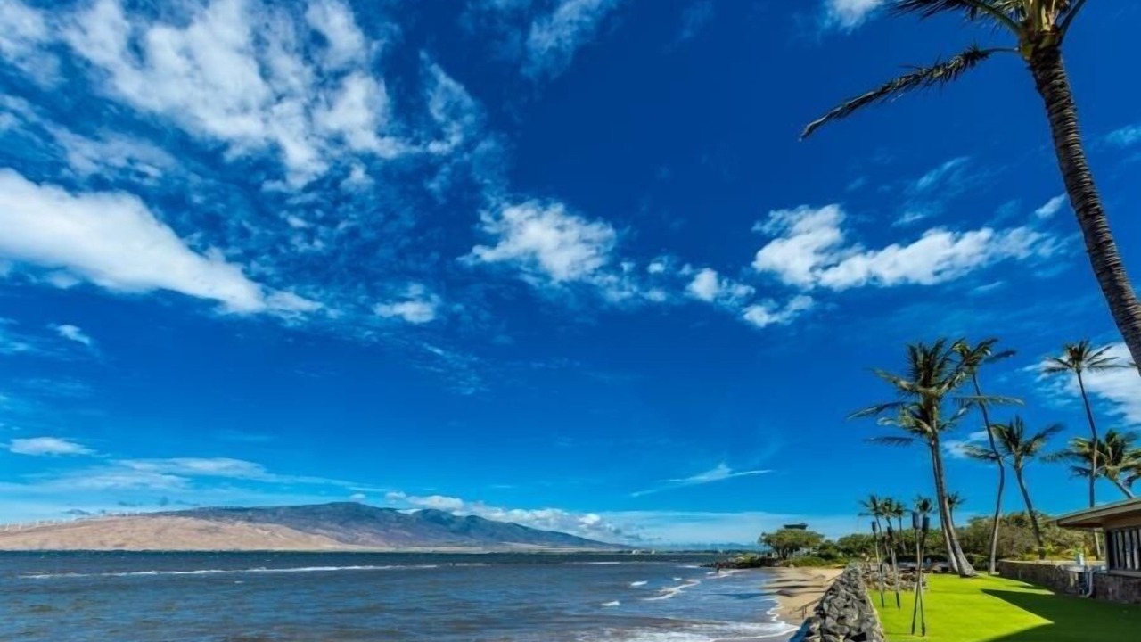 Photo of Others in Kihei