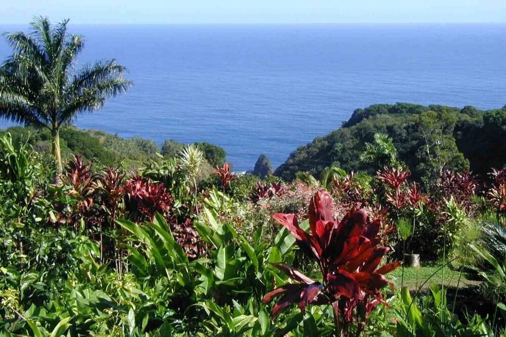 Photo of Others in Kahului
