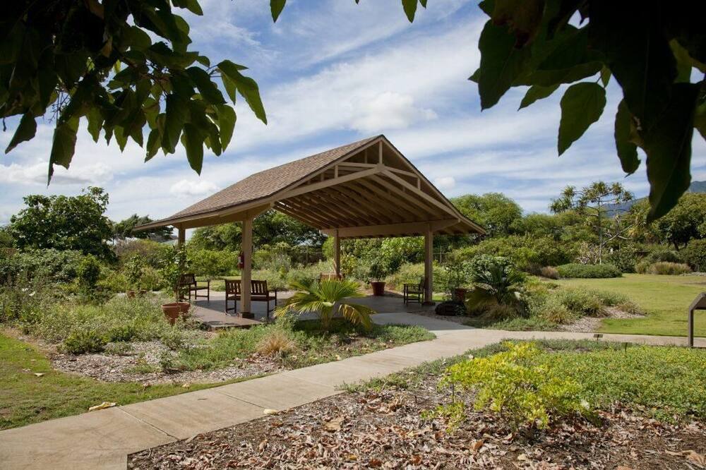 Photo of Outdoor in Kahului