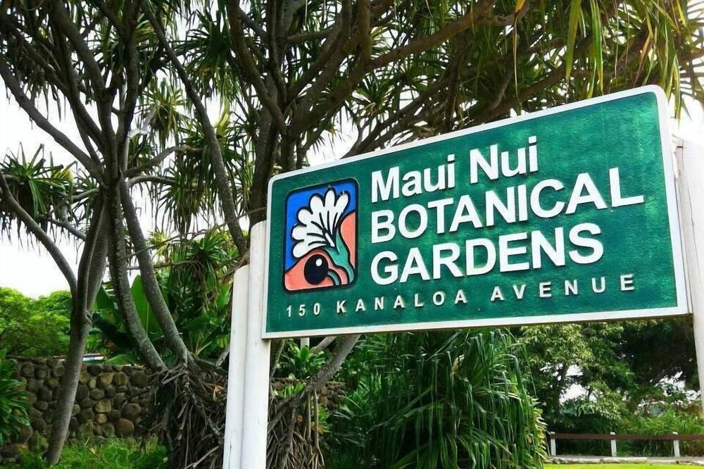 Photo of Outdoor in Kahului