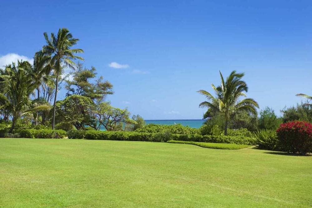 Photo of Others in Lihue