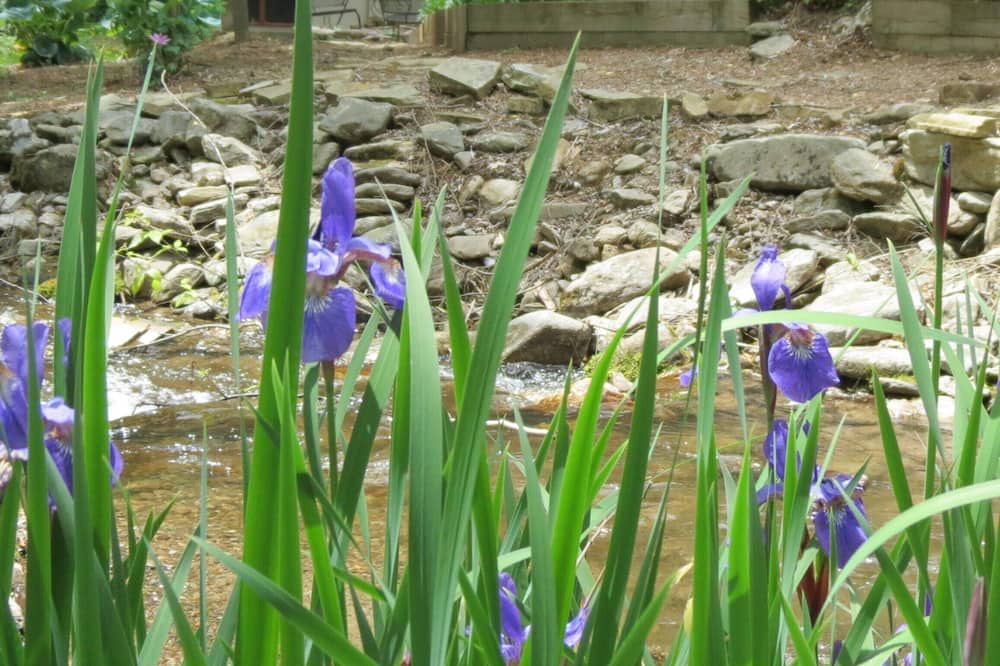 Photo of Others in Cataloochee Ranch