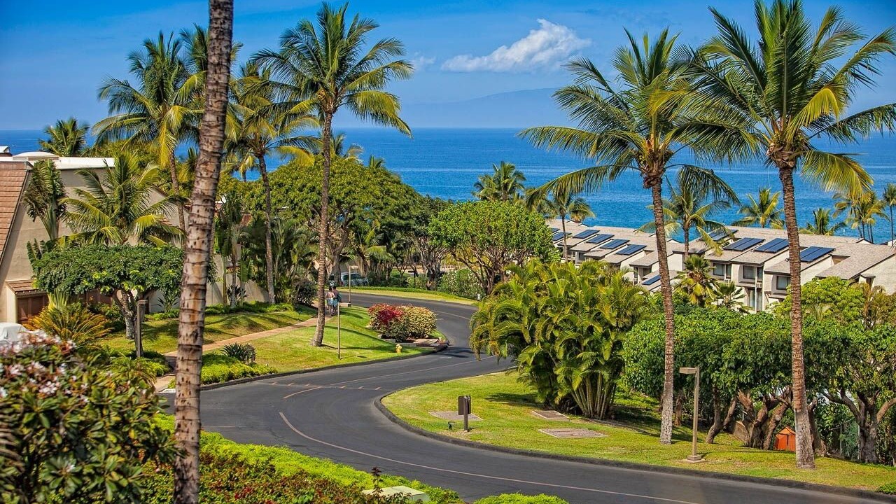 Photo of Others in Kihei