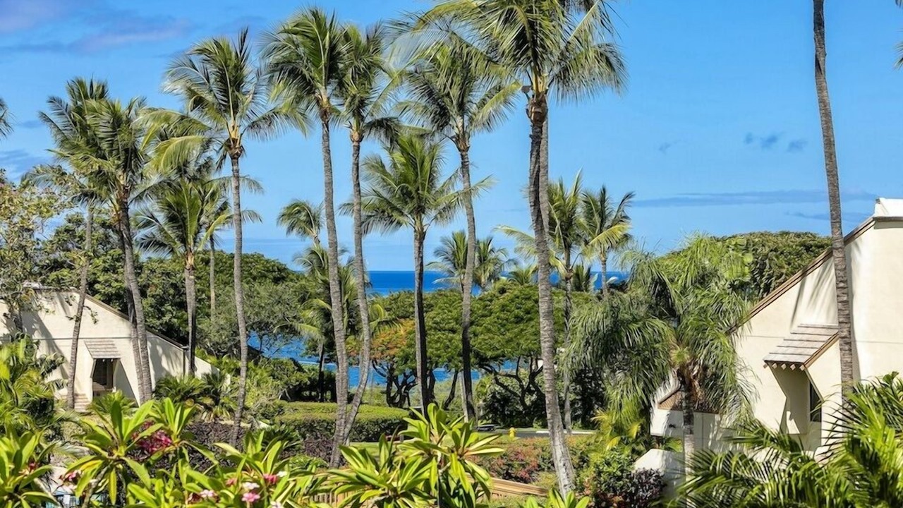 Photo of Others in Kihei