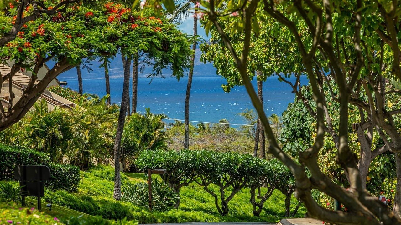 Photo of Others in Kihei