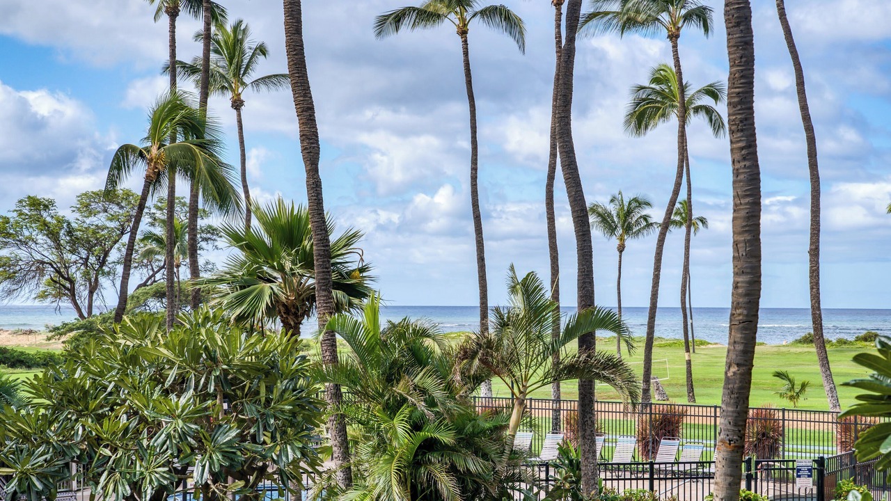 Photo of Others in Kihei