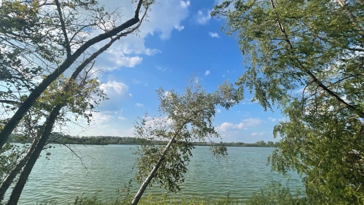 Photo of Others in White Bear Lake