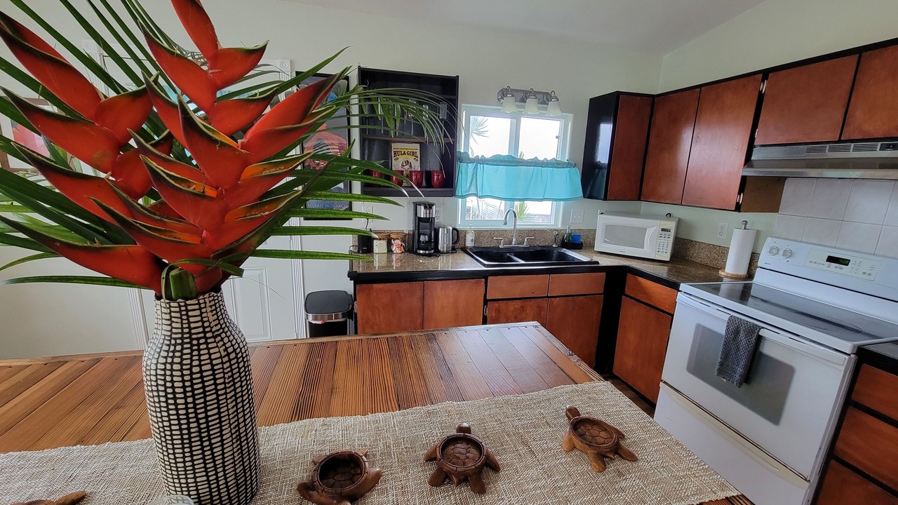 Photo of Kitchen in Hilo