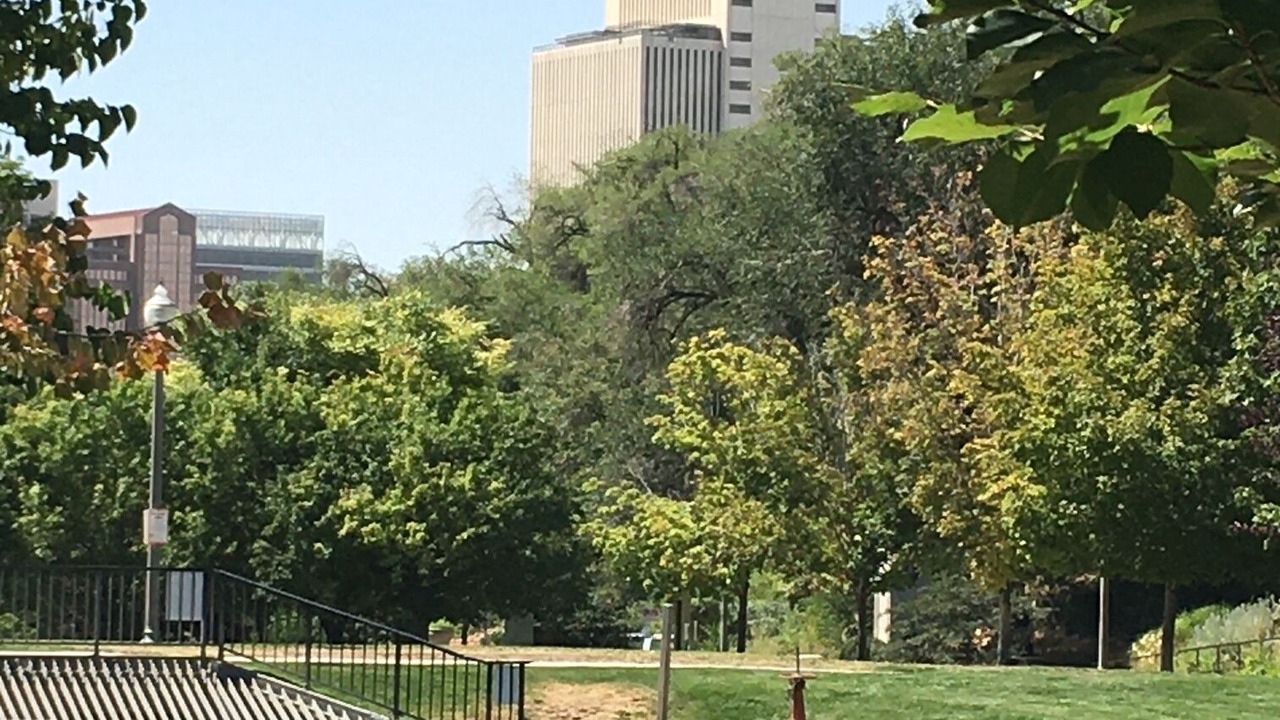 Photo of Others in Lower Avenues