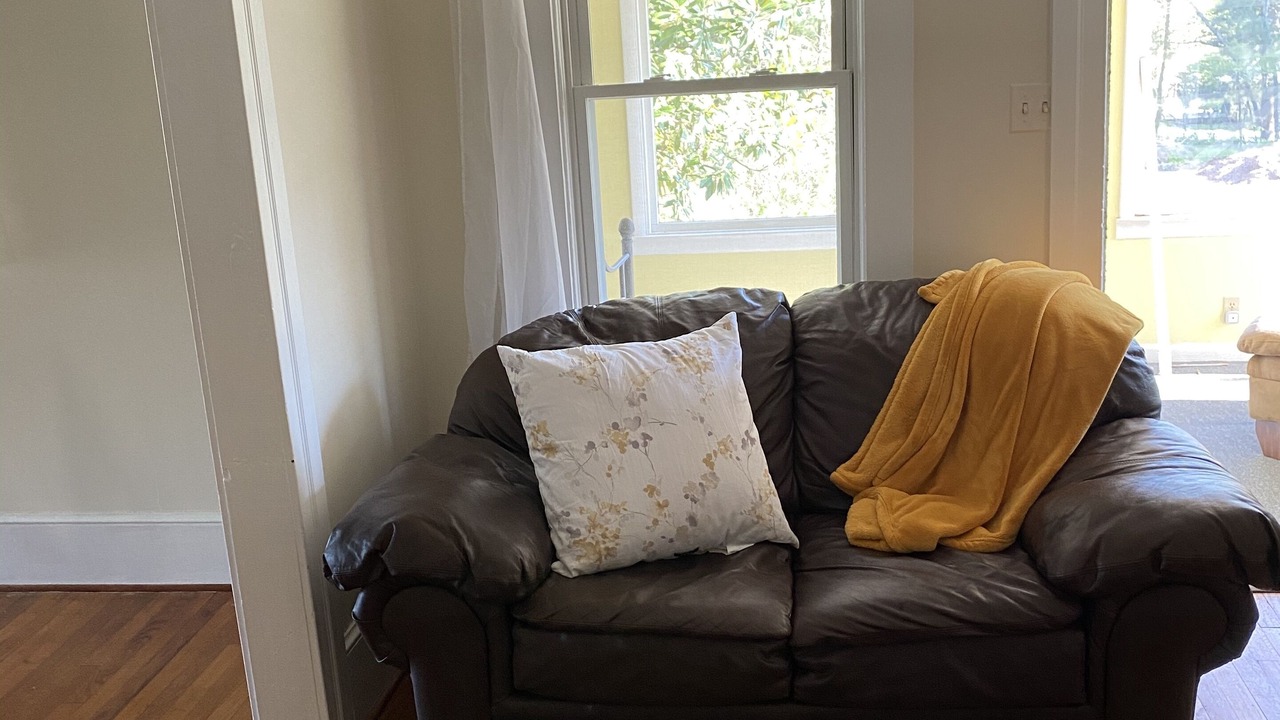 Photo of Livingroom in Flat Rock