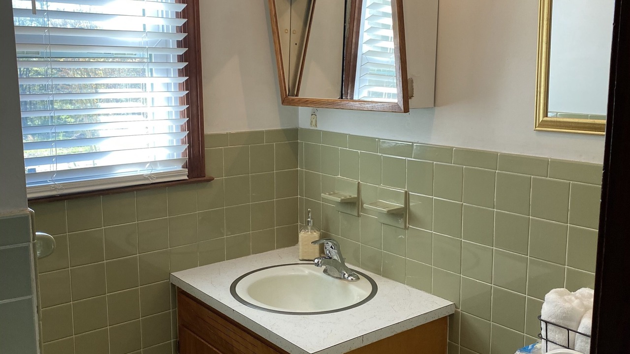 Photo of Bathroom in Flat Rock