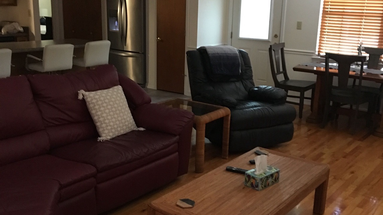 Photo of Livingroom in Theodore