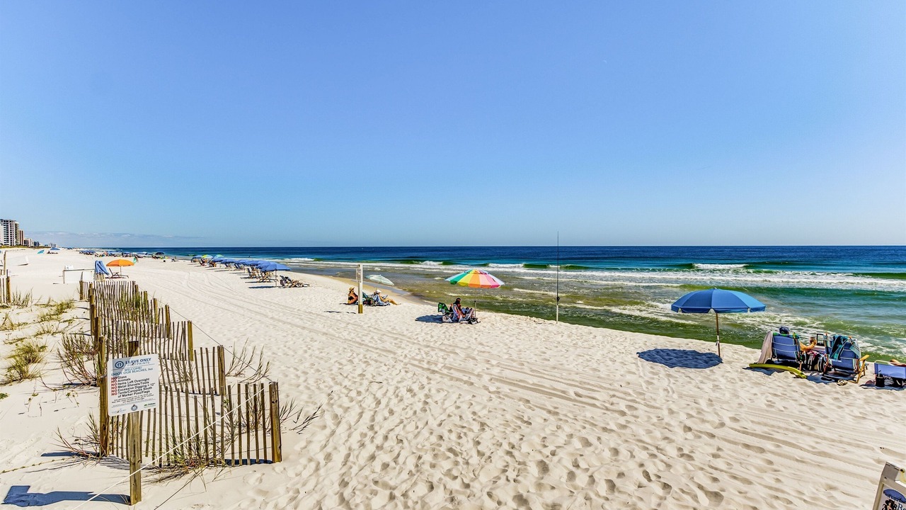 Photo of Others in Orange Beach East