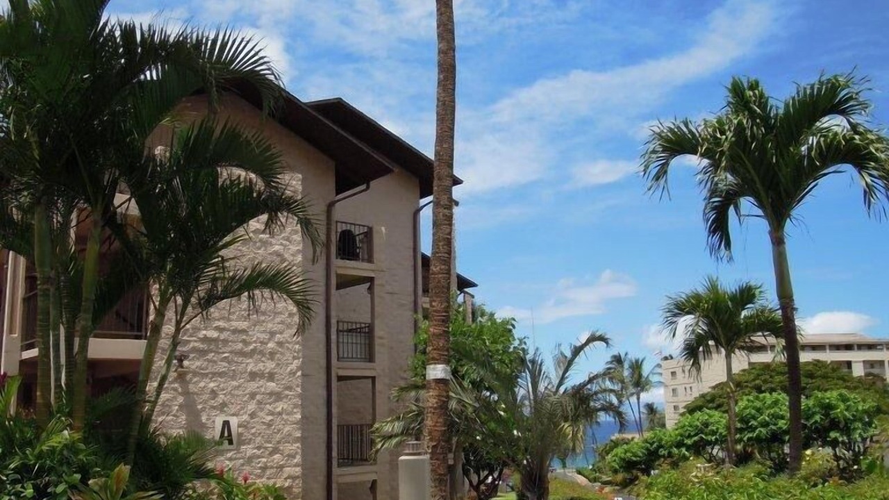 Photo of Others in Kihei