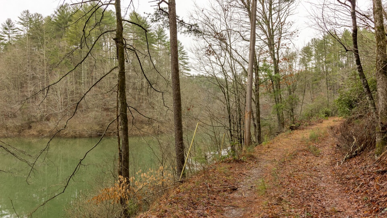 Photo of Outdoor in Ellijay