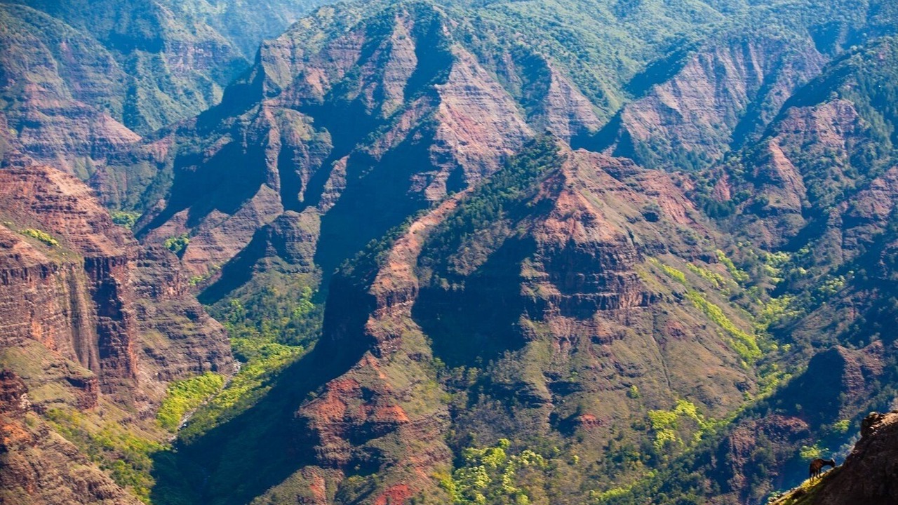 Photo of Outdoor in Lihue