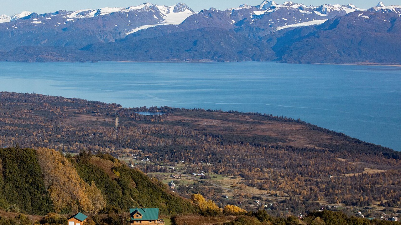 Photo of Others in Homer