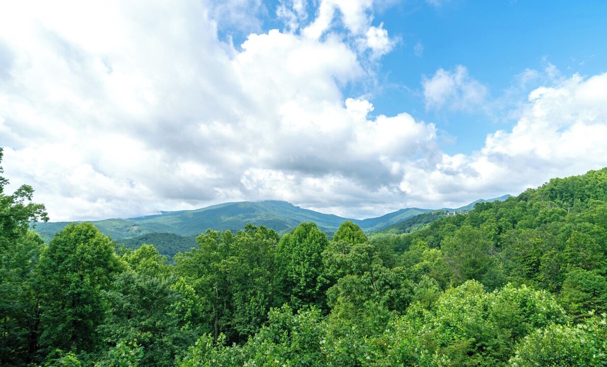Photo of Others in Boone