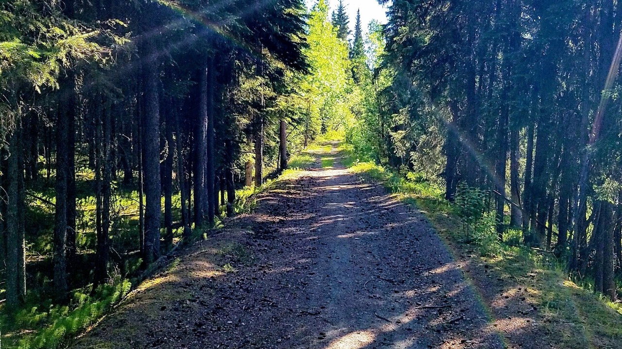 Photo of Others in Fairbanks