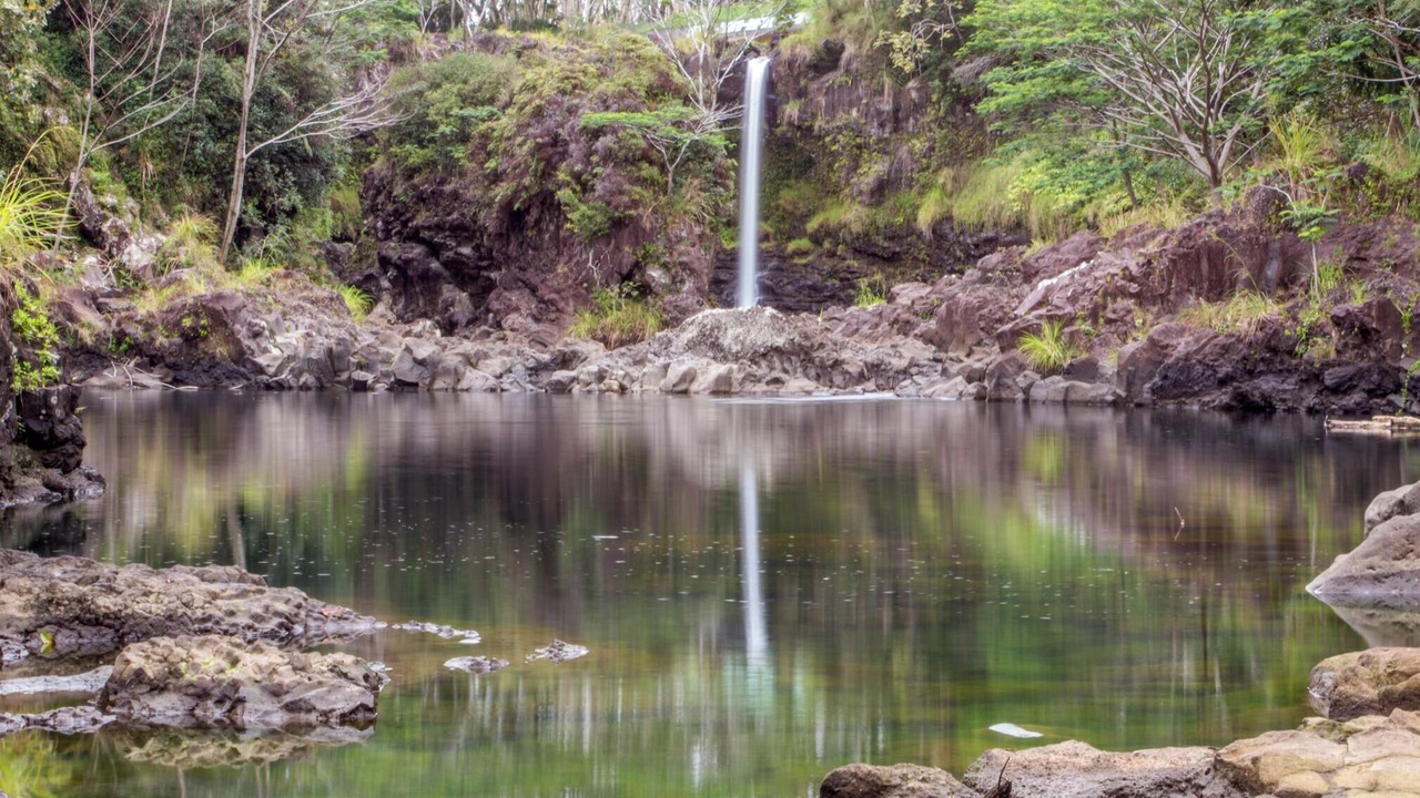Photo of Others in Hilo